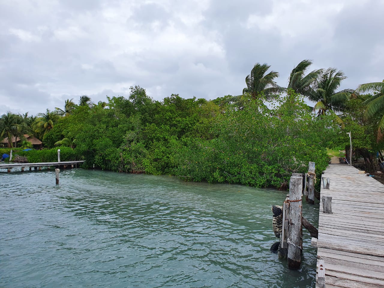 VENTA TERRENO HOTELERO EN ISLA MUJERES